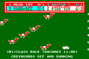 Wembley Greyhounds 4
