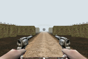 Western Outlaw: Wanted Dead or Alive 4