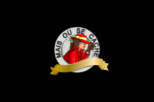Where in the World is Carmen Sandiego? (CD-ROM) 0