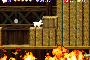 White Heart Baekgu 13