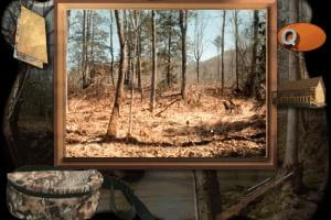 Whitetail Impact 7