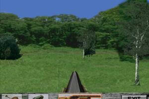 Wild Turkey Hunt 2