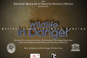 Wildlife in Danger 0