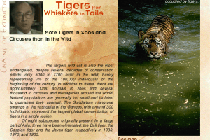 Wildlife in Danger 2