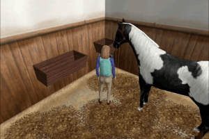 Willowbrook Stables: The Saddle Club 1