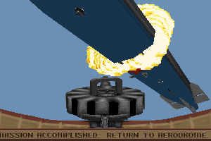 Wings of Glory 14
