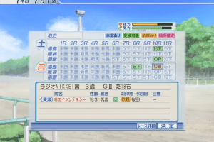 Winning Post World 5