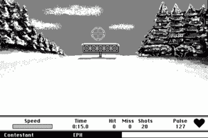 Winter Games abandonware