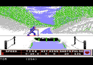 Winter Games abandonware