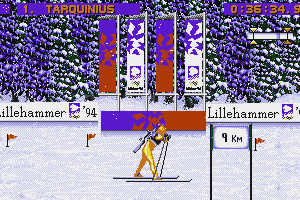 Winter Olympics: Lillehammer '94 15