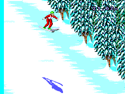 Winter Olympics: Lillehammer '94 17