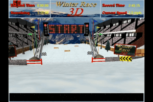 Winter Race 3D 1