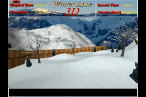 Winter Race 3D 3