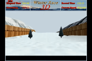 Winter Race 3D 5