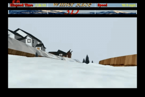 Winter Race 3D 7