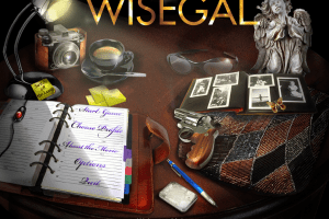 Wisegal 0