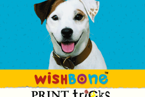 Wishbone Print Tricks 0