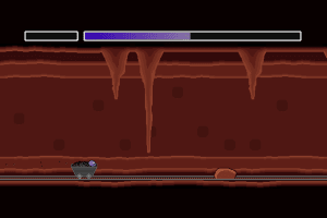 Within a Deep Forest 11