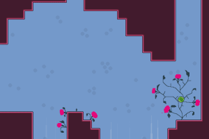 Within a Deep Forest 13