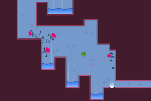 Within a Deep Forest 15