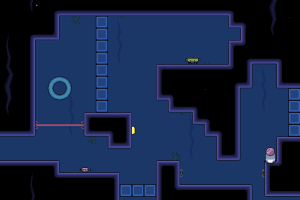 Within a Deep Forest 24