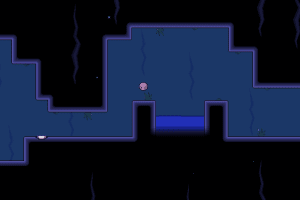 Within a Deep Forest 8