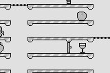 Witty Cat 5