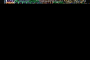 Wizard Fire 11