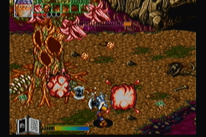 Wizard Fire 12