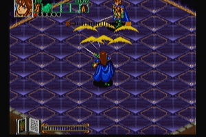 Wizard Fire 16