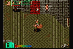 Wizard Fire 17
