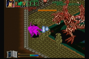 Wizard Fire 20