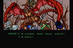 Wizard Fire 4