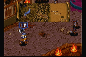 Wizard Fire 5