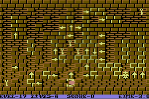 Wizard's Doom: Fifty Levels of Exquisite Torture 21