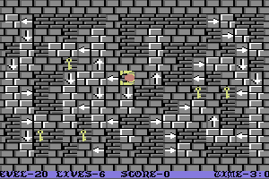 Wizard's Doom: Fifty Levels of Exquisite Torture 22