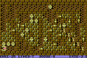 Wizard's Doom: Fifty Levels of Exquisite Torture 26