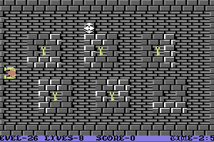 Wizard's Doom: Fifty Levels of Exquisite Torture 27