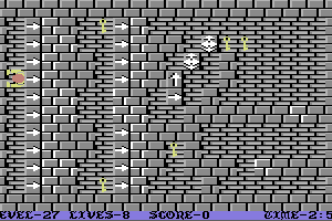 Wizard's Doom: Fifty Levels of Exquisite Torture 28