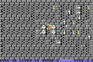 Wizard's Doom: Fifty Levels of Exquisite Torture 36