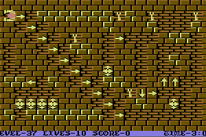 Wizard's Doom: Fifty Levels of Exquisite Torture 37