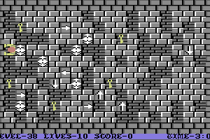 Wizard's Doom: Fifty Levels of Exquisite Torture 38
