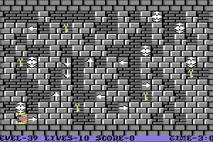 Wizard's Doom: Fifty Levels of Exquisite Torture 39