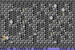 Wizard's Doom: Fifty Levels of Exquisite Torture 40