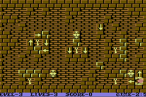 Wizard's Doom: Fifty Levels of Exquisite Torture 6