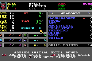 Wizardry: Bane of the Cosmic Forge 3