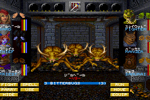 Wizardry: Crusaders of the Dark Savant 9