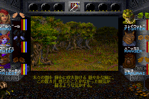 Wizardry: Crusaders of the Dark Savant 6