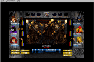 Wizardry Gold 11