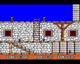 Wizards Castle abandonware